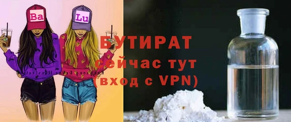дмт Пересвет