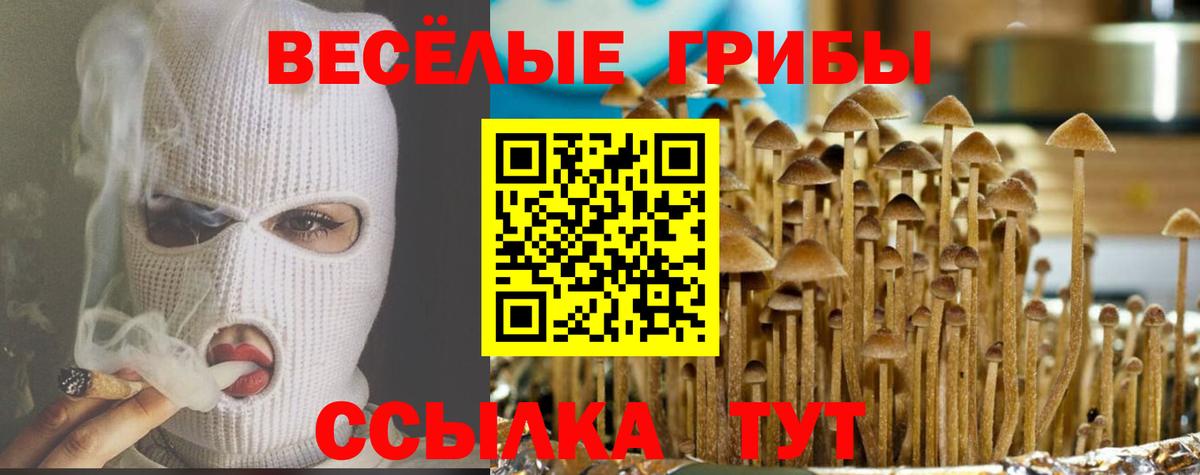 Галлюциногенные грибы GOLDEN TEACHER  Галлюциногенные грибы Magic Shrooms  Ржев  Вход с VPN 