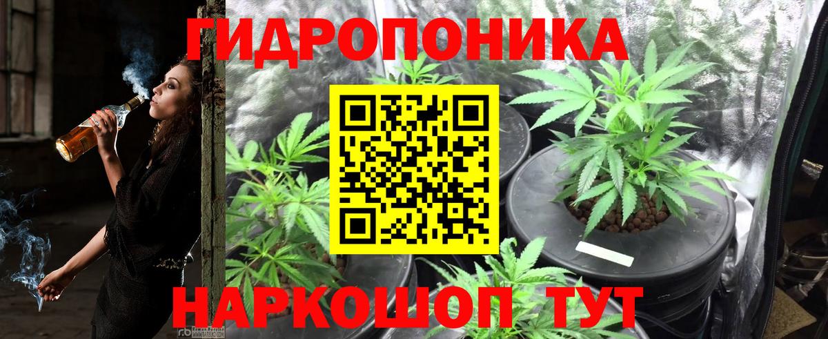 Каннабис сатива  Шишки марихуана MAZAR  Ржев  Вход с VPN  Конопля тримм 